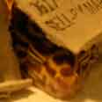 sleepygecko