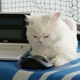 SuseGigabyte