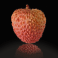 Lychee