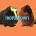 morontown