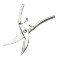 MisterChickenScissors