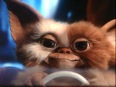 Gismo