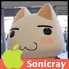 Sonicray