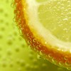 drlemon
