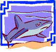 sharkmaster