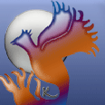 phoenixsong44