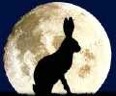 marchhare