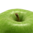 2_SeeK_U