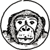 Bonobo